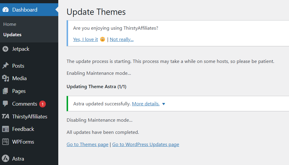 Wordpress Theme Update