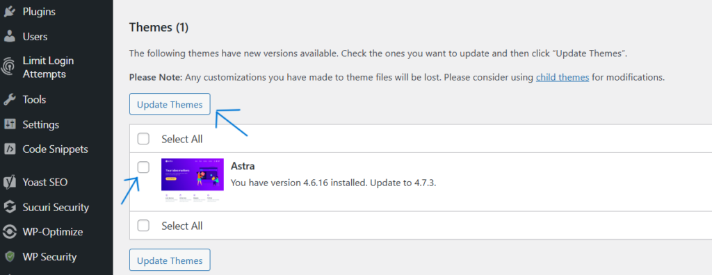 Wordpress Theme Update